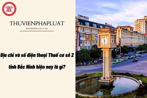 Pháp luật