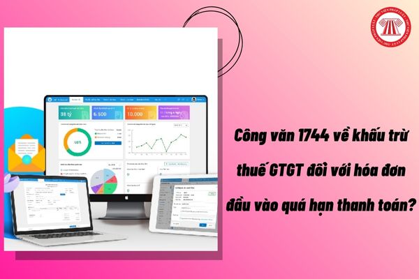 Pháp luật
