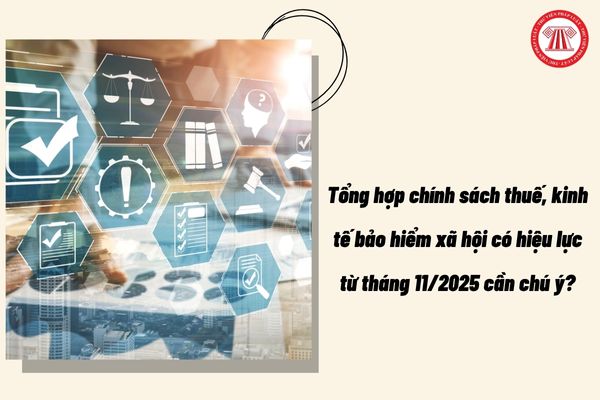 Pháp luật
