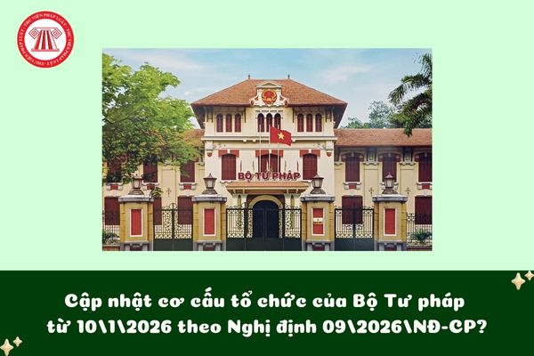 Pháp luật