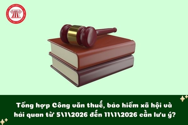 Pháp luật
