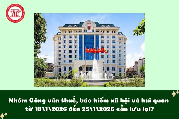 Pháp luật
