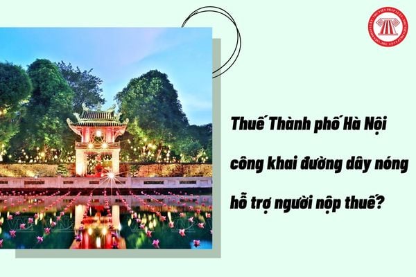 Pháp luật