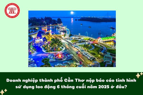 Pháp luật