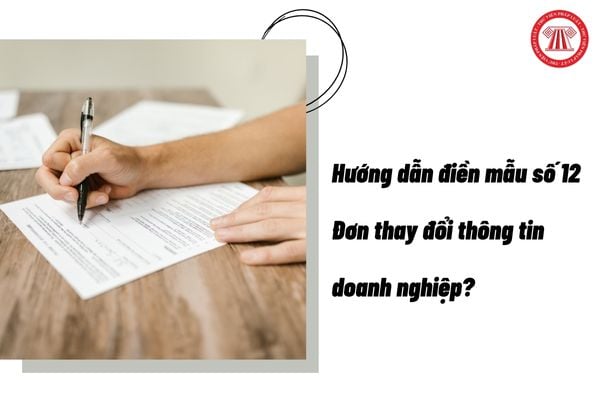 Hướng dẫn điền mẫu số 12 Đơn thay đổi thông tin doanh nghiệp?