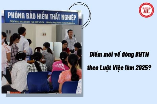 Pháp luật