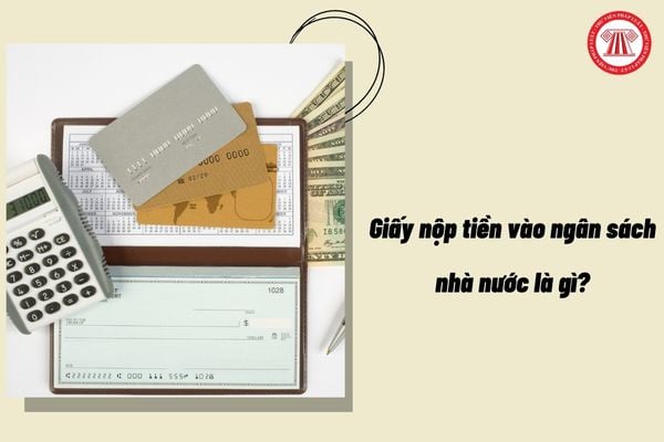 Giấy nộp tiền vào ngân sách nhà nước là gì?