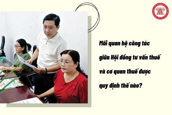 Pháp luật