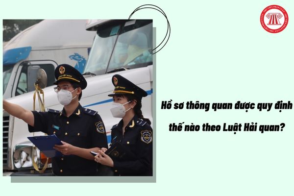Pháp luật