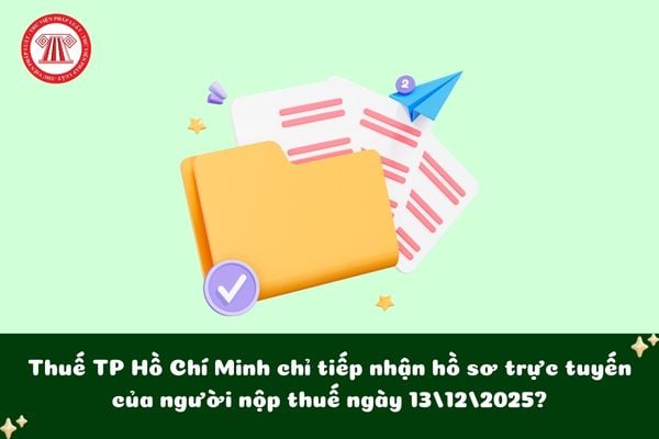 Thuế TP Hồ Chí Minh chỉ tiếp nhận hồ sơ trực tuyến của người nộp thuế ngày 13/12/2025?
