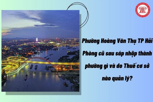 Pháp luật