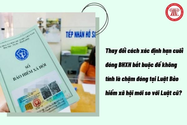 Pháp luật