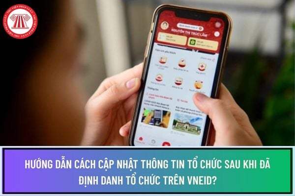 Pháp luật