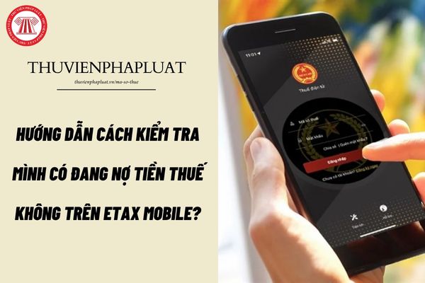 Pháp luật