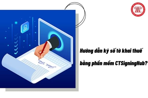 Pháp luật