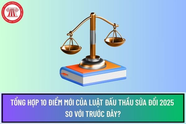 Pháp luật