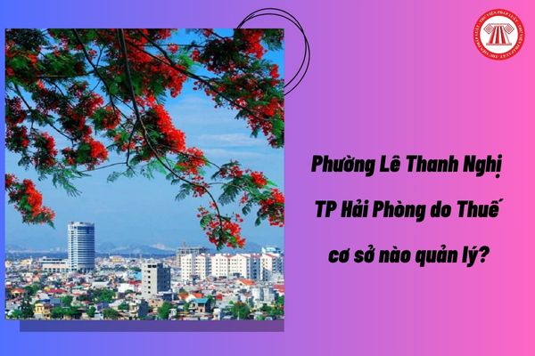 Pháp luật