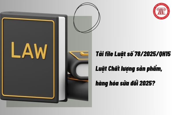 Pháp luật