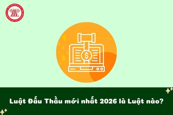 Luật Đấu thầu mới nhất 2026 là Luật Đấu thầu 2023 đúng không?