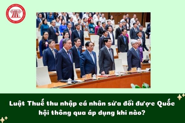 Pháp luật