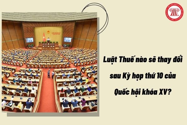 Pháp luật