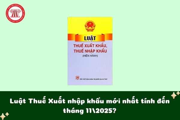 Pháp luật