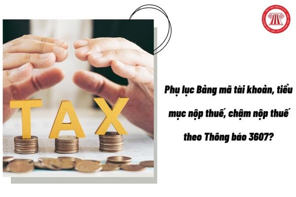 Pháp luật