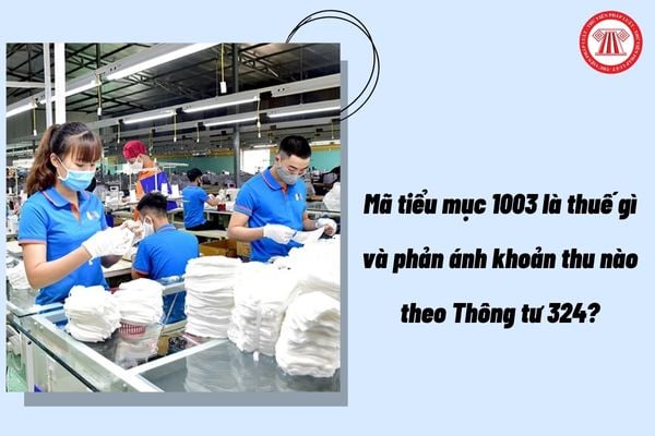 Pháp luật