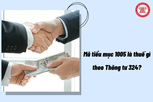 Pháp luật