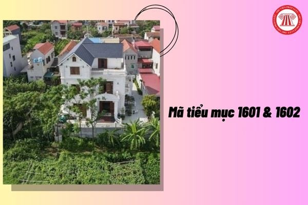 Pháp luật