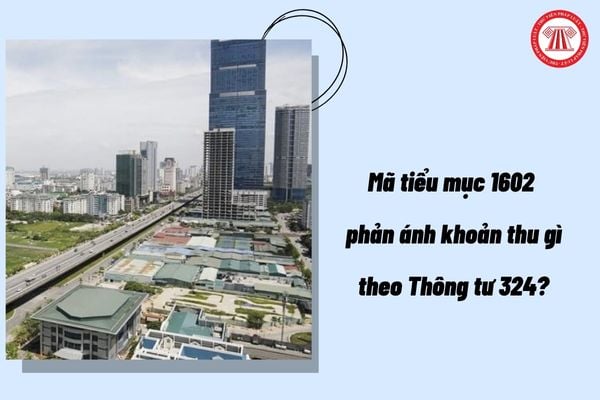 Pháp luật