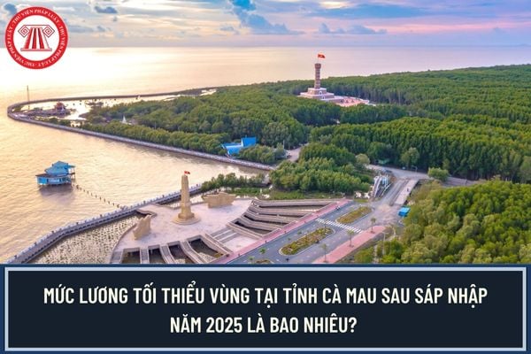 Pháp luật