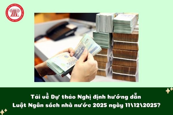 Pháp luật