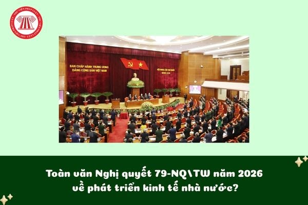 Pháp luật