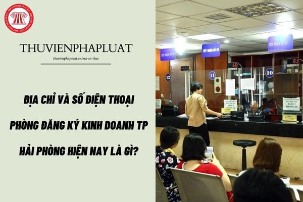 Địa chỉ và số điện thoại Phòng Đăng ký kinh doanh TP Hải Phòng hiện nay là gì?