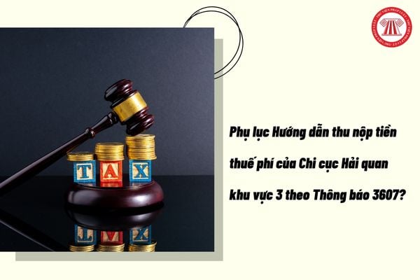Pháp luật