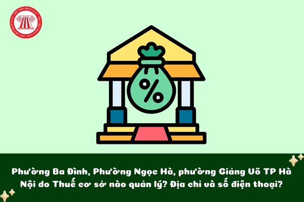 Pháp luật