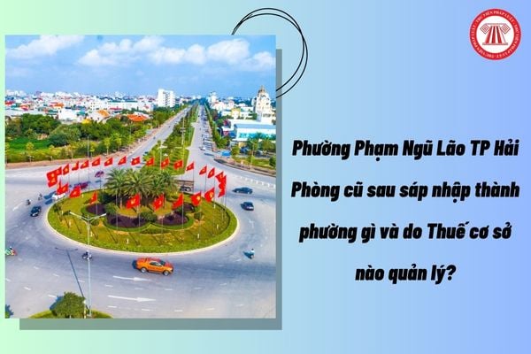 Pháp luật