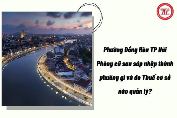 Pháp luật