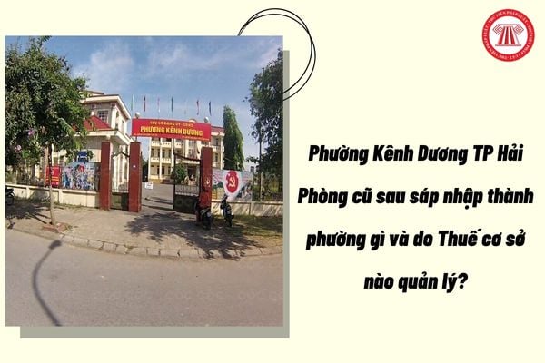 Pháp luật