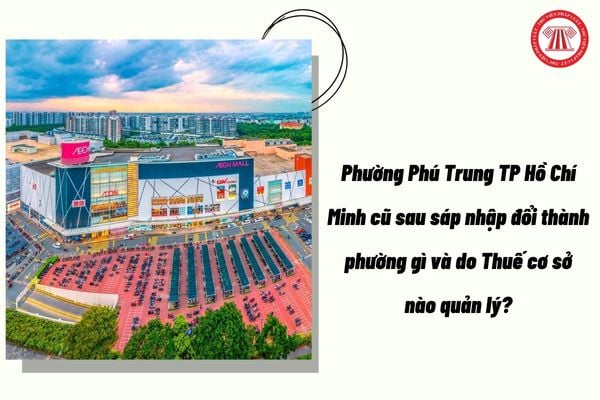 Pháp luật