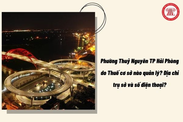 Pháp luật