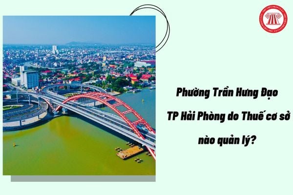 Pháp luật