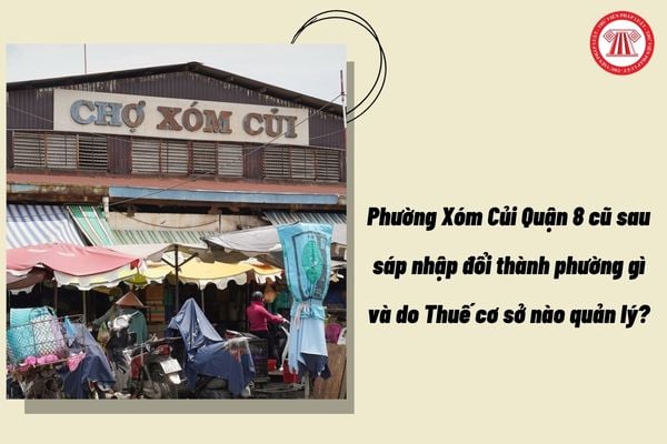 Pháp luật