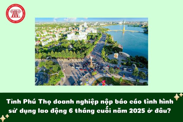 Pháp luật