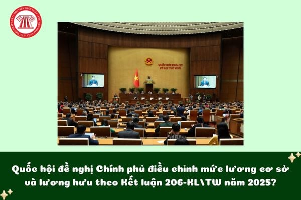 Pháp luật