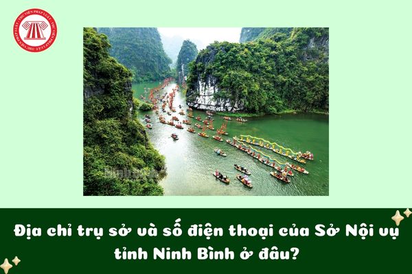 Pháp luật
