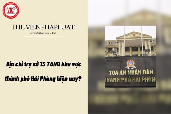 Pháp luật