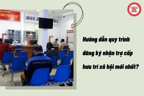 Pháp luật