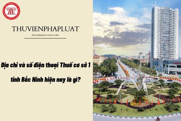 Pháp luật